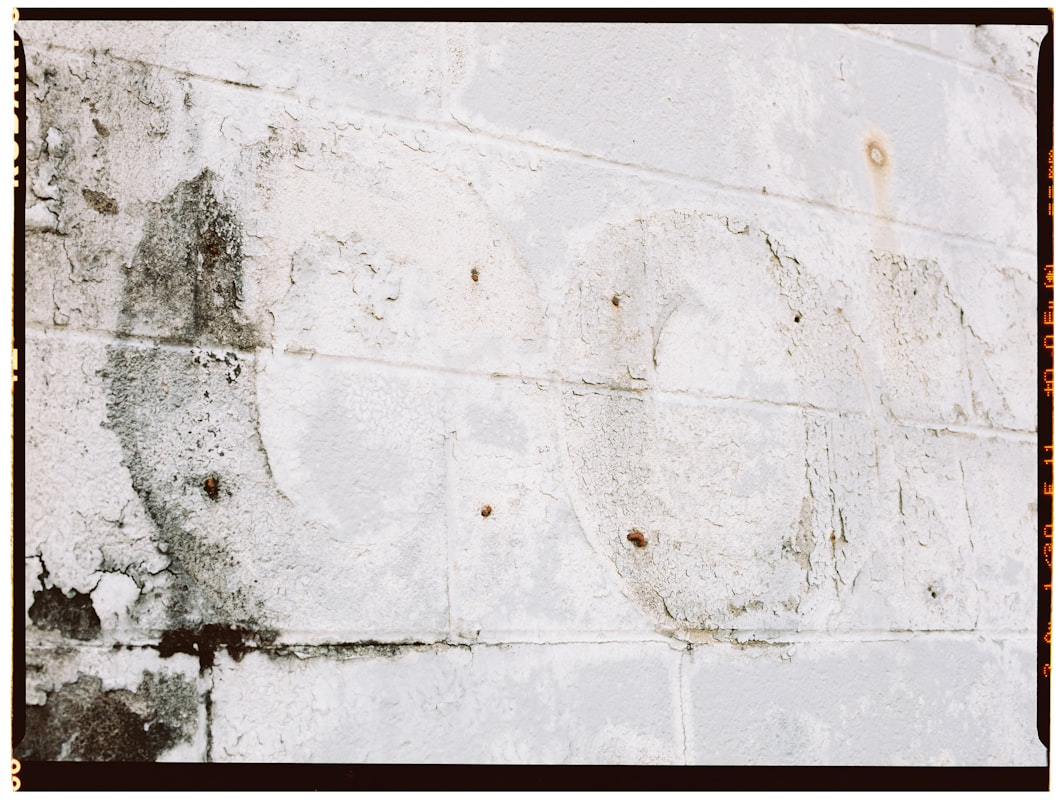 Flood Cleanup service in Lafayette, LA